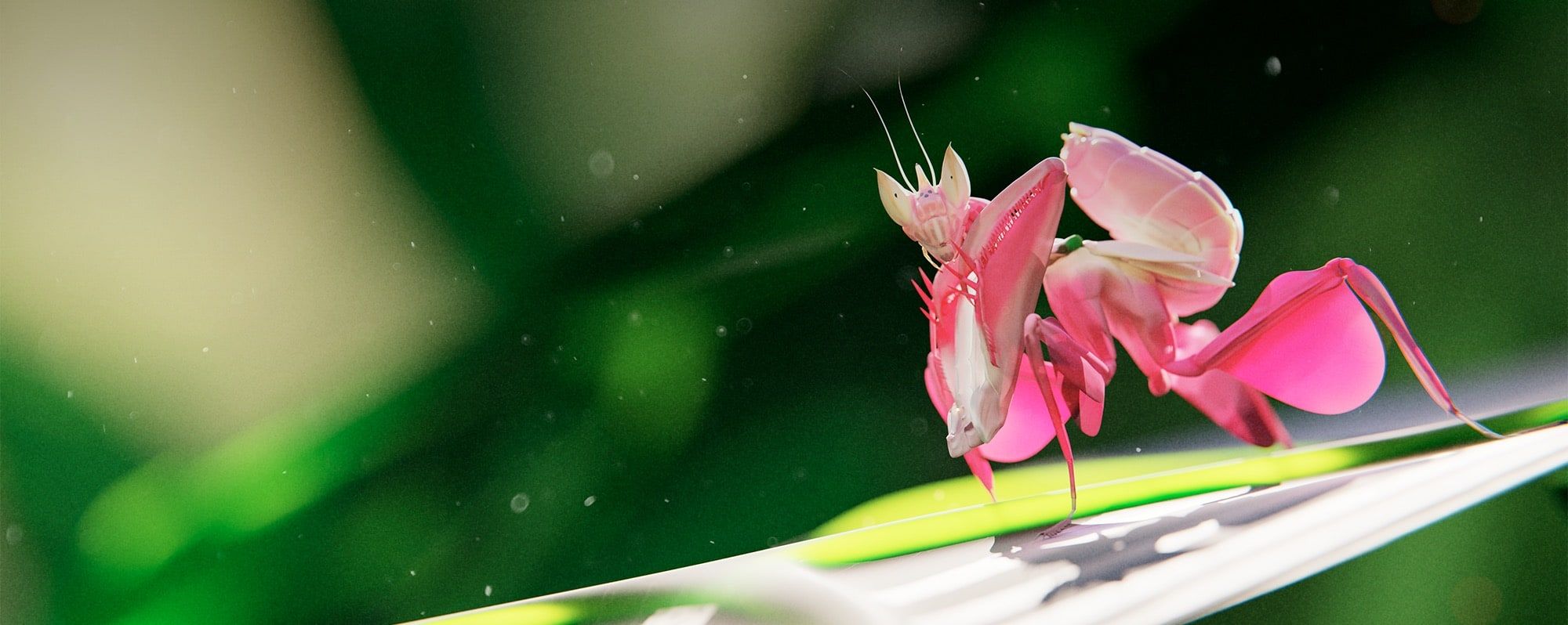 Curso de Blender online
