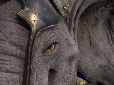 Elefante Master Reconocimiento Universitario