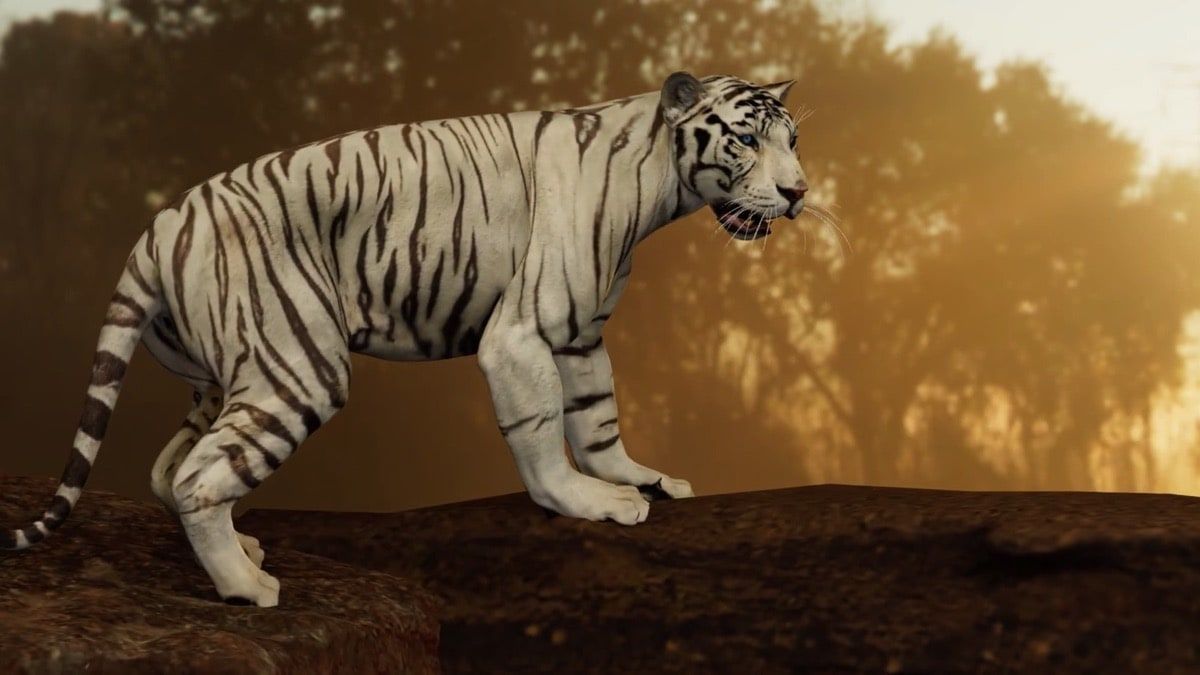 Modelo 3D realista de tigre blanco caminando sobre una roca al atardecer, con fondo de bosque difuminado