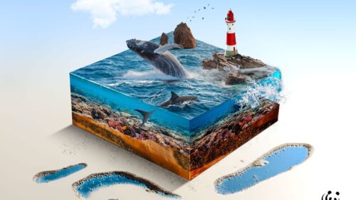 Ilustración 3D de un bloque de océano con ballena, tiburones y faro, mostrando el ecosistema marino en sección.
